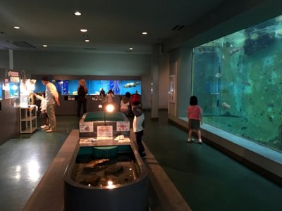 🐠 후쿠야마 대학 마린바이오센터 수족관